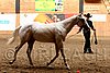 PAS06_0546.jpg