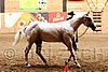 PAS06_0547.jpg