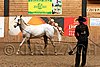 PAS06_0548.jpg