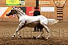 PAS06_0549.jpg