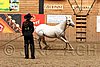 PAS06_0550.jpg