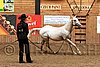 PAS06_0552.jpg