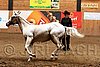 PAS06_0553.jpg