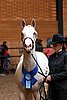 PAS06_0557.jpg