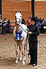 PAS06_0559.jpg