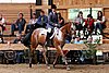 PAS06_0626.jpg