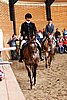 PAS06_0635.jpg