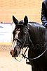 PAS06_0646.jpg