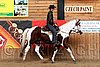PAS06_0665.jpg