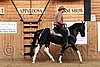 PAS06_0667.jpg