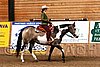 PAS06_0669.jpg