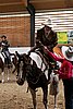 PAS06_0753.jpg