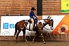PAS06_0760.jpg