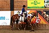 PAS06_0761.jpg