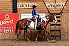 PAS06_0763.jpg