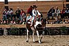 PAS06_0779.jpg