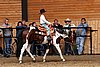PAS06_0783.jpg