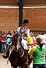 PAS06_0800.jpg