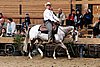PAS06_0804.jpg