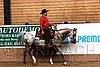 PAS06_0810.jpg