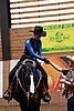 PAS06_0835.jpg