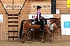 PAS06_0840.jpg