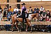 PAS06_0842.jpg