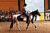 PAS06_1013.jpg