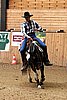 PAS06_1018.jpg