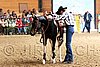 PAS06_1029.jpg