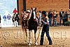 PAS06_1051.jpg