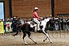 PAS06_1052.jpg