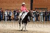 PAS06_1056.jpg