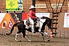 PAS06_1062.jpg