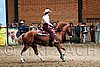 PAS06_1065.jpg