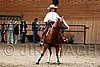 PAS06_1066.jpg