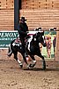 PAS06_1080.jpg