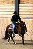 PAS06_1118.jpg