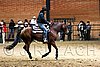 PAS06_1157.jpg