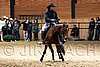 PAS06_1159.jpg