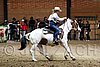 PAS06_1164.jpg
