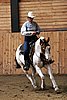 PAS06_1166.jpg