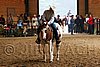PAS06_1170.jpg