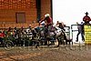 PAS06_1182.jpg