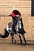 PAS06_1185.jpg