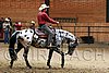 PAS06_1193.jpg