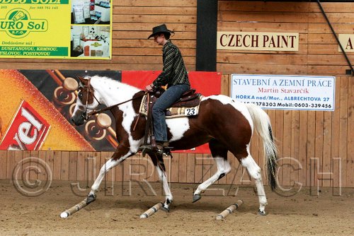 PAS06_0910.jpg