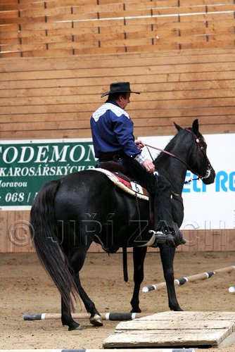 PAS06_0931.jpg
