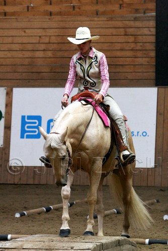 PAS06_0941.jpg