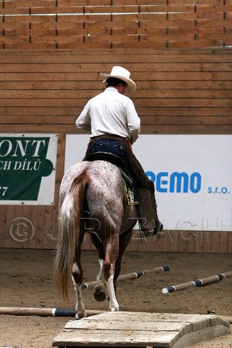 PAS06_0978.jpg